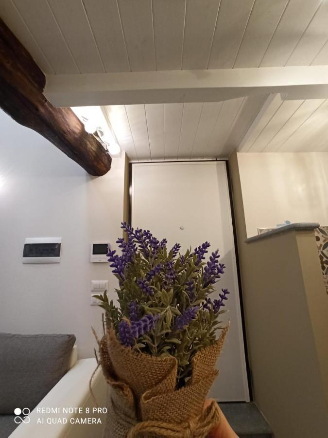 Antico-Vicolo Appartamento Viviana ヴェルチェッリ エクステリア 写真